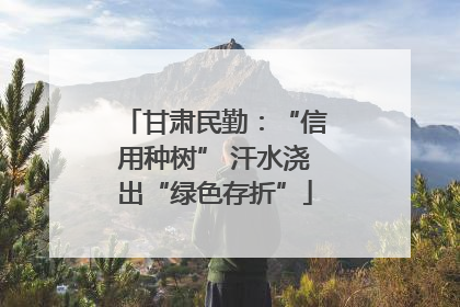 甘肃民勤：“信用种树” 汗水浇出“绿色存折”